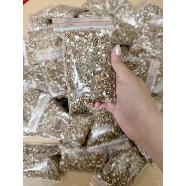 Sẵn Đất Cỏ Mèo Tự Trồng – Set Cho Mèo Tiêu Bùi Lông, Giá Chỉ 13.000 VND 6