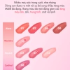 Săn Sale Son Nước Bóng Thuần Chay Amuse Dew Tint 4g - 329k, màu lì lâu trôi 7