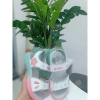 Sandal Bé Gái Trắng Hồng BEG200 Giá Rẻ 335.000 VNĐ - Thoải Mái và Thời Trang 5