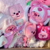 Sang Trọng Loopy Búp Bê Hồng Đáng Yêu Hải Ly Gấu Bông Quà Tặng Nữ, Giảm 27.500 VND 5