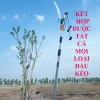Sào nhôm rút 7m dày chịu lực lớn, cắt tỉa cây, dọn hồ bơi, giá 600.000₫ 6