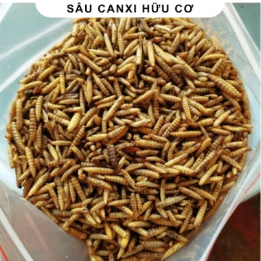 Sâu Canxi 1KG cho Gà Rutin, Hamster, Chim Cảnh và Cá Cảnh - Mộc Hoa Viên, Giá chỉ 17.899 VND 4 Sâu Canxi 1KG cho Gà Rutin, Hamster, Chim Cảnh và Cá Cảnh - Mộc Hoa Viên, Giá chỉ 17.899 VND 4