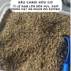 Sâu Canxi 1KG cho Gà Rutin, Hamster, Chim Cảnh và Cá Cảnh - Mộc Hoa Viên, Giá chỉ 17.899 VND 5