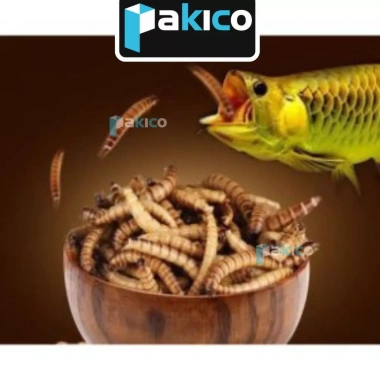 Sâu canxi sấy khô giàu đạm - Thức ăn cho gà, cá, chim, chuột hamster, 59.900đ 3