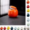 SDFG Gốm Men Màu - Lọ Đựng Trà Đóng Chai Phụ Rỗng, Phấn Mắt Mini Thanh Lịch, Giá chỉ 81.593₫ 9