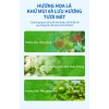 Seaways Nước tẩy rửa nhà tắm dạng xịt bọt 500ml - Giặt sàn kính, bồn cầu, Giá ưu đãi 120.000 7