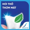 Sensodyne Fresh Mint 160g Bộ 3 Kem Đánh Răng Giảm Ê Buốt Hương Bạc Hà Giá 276k 4