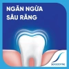 Sensodyne Fresh Mint 160g Bộ 3 Kem Đánh Răng Giảm Ê Buốt Hương Bạc Hà Giá 276k 6