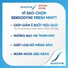 Sensodyne Fresh Mint 160g Bộ 3 Kem Đánh Răng Giảm Ê Buốt Hương Bạc Hà Giá 276k 7