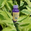Serum dưỡng tóc bóng mềm 10ml - Chỉ 30.000đ (giảm từ 36.300đ), không bết dính 2