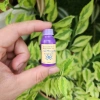 Serum dưỡng tóc bóng mềm 10ml - Chỉ 30.000đ (giảm từ 36.300đ), không bết dính 3