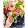 Serum dưỡng tóc bóng mượt 50ml Hot - Phục hồi tóc hư tổn, giá 178.000 4