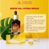 Serum HA V LIFE 30ml Chính Hãng – Cấp Ẩm, Dưỡng Da, Phục Hồi Da Hư Tổn, Trắng Sáng – Giá 315.000đ 2