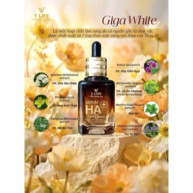 Serum HA V LIFE 30ml Chính Hãng – Cấp Ẩm, Dưỡng Da, Phục Hồi Da Hư Tổn, Trắng Sáng – Giá 315.000đ