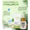 Serum Phục Hồi Phương Anh 2.025 - Dưỡng Da Sâu, Giảm Nếp Nhăn, Giá 260.000 VNĐ 3