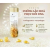 Serum Sakura Age Defying DNA Repair 7 viên - Dưỡng da chống lão hóa, phục hồi, túi zip, 226.800 VND 2