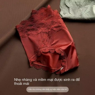 Set 1-3 Quần Lót Ren Nữ Cao Cấp Su Lụa Ren hoa Thoáng mát Plus Size M-XL Xiagunai 2.438