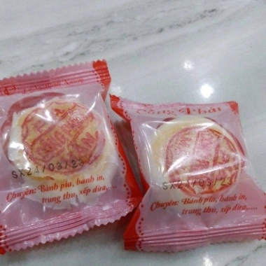 Set 10 bánh pía mini Công Phát không trứng - Giá chỉ 40.000đ, bao bì như hình