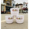 Set 10 chậu nhựa tròn giả sứ họa tiết cao cấp kèm đĩa KT 18x13.5cm 185.000₫ 4