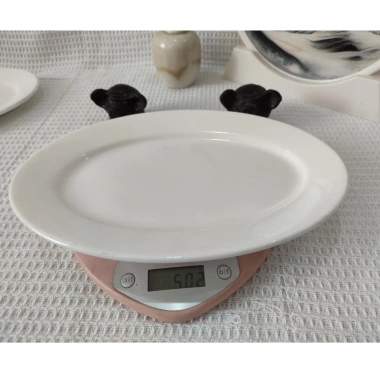 Sét 10 Đĩa Sứ Trắng Hình Bầu Dục 10 Inch Gốm Cao Cấp Chịu Nhiệt Tốt Giá 250.000 VND 3 Sét 10 Đĩa Sứ Trắng Hình Bầu Dục 10 Inch Gốm Cao Cấp Chịu Nhiệt Tốt Giá 250.000 VND 3