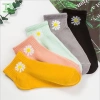 Set 10 Đôi Tất & Vớ Hoa Cúc Nhiều Màu, Thể Thao Cổ Ngắn, Vải Dệt Kim ms20 - Giá 41.900 VNĐ 6