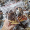 Set 10 gói trà La Hán Thảo Mộc thơm ngon, dễ uống - Giá 65.000 VND, giảm từ 84.500 VND 2