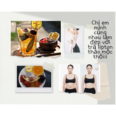 SET 10 gói trà Lipton thảo mộc cam thảo xí muội giảm giá 79.000, vị thanh mát