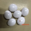 Set 10 quả trứng gà giả nhựa trắng mô hình chuồng ấp, dạy vẽ, giá 13.000đ 7