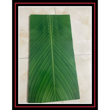 Set 10 tờ giấy hình lá dong 32x64cm gói bánh chưng giả giảm giá 45k VPP Quốc Huy