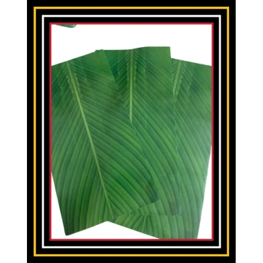 Set 10 tờ giấy hình lá dong 32x64cm gói bánh chưng giả giảm giá 45k VPP Quốc Huy