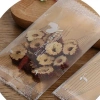 Set 100 túi đựng bánh cookie, bánh quy, trà hoa ALL THE BEST - đa kích thước, 16.700₫ 5