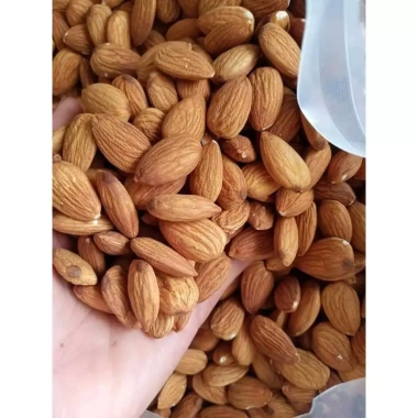 Set 100g Hạt Đậu Hữu Cơ Dinh Dưỡng - Sữa Hạt, Cháo Ăn Dặm, Ngũ Cốc Dinh Dưỡng, Giá Ưu Đãi 12.000 VND 8 Set 100g Hạt Đậu Hữu Cơ Dinh Dưỡng - Sữa Hạt, Cháo Ăn Dặm, Ngũ Cốc Dinh Dưỡng, Giá Ưu Đãi 12.000 VND 8