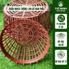 Set 2 chậu nhựa trồng lan fi 20-30, đa màu sắc, giá ưu đãi 14.000 VND