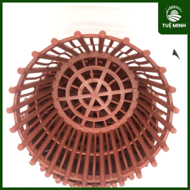 Set 2 chậu nhựa trồng lan fi 20-30, đa màu sắc, giá ưu đãi 14.000 VND