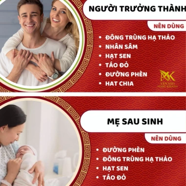 Set 20 hũ Tổ Yến 35% 70ml Vị Đông Trùng Hạ Thảo - ISOMALT - Quà Tết 1.160.000 VND