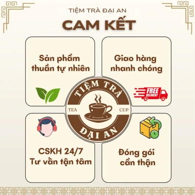 Set 3 Gói Trà Thảo Mộc Thiên Nhiên Đại An - Mix Nhiều Vị, Giảm Giá Sốc 22.213₫ 8