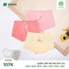 Set 3 Quần Chip Đùi Cotton Bé Gái 10-30kg Màu Ngẫu Nhiên Dokma Giá 107.000 VND 4