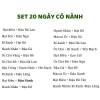 Set 30 ngày hạt dinh dưỡng nấu sữa mix sẵn – Hạt làm sữa ăn dặm cho bé, giá ưu đãi 89.000₫ 7