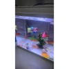 Set 4 Đồ Trang Trí Hồ Cá Cao Su – Hoạt Hình, Dễ Lắp Đặt, Không Keo, Betta 4