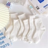 Set 5 Đôi Tất Gân Trắng Bèo Cổ Cao Phong Cách Hàn Quốc TT19 - Giá 10.000đ