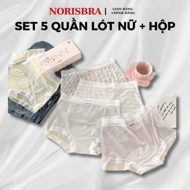 Set 5 quần lót nữ chất su, boxer cạp cao cotton, hộp quà AMYBRA L221 199.000₫
