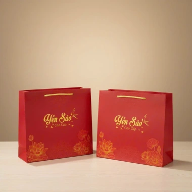 Set 5 Túi Yến Sào Size Lớn 29x27x9 - Giá Ưu Đãi 58.000đ (Giảm 14.500đ)