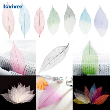 Set 50 Lá Cây Tự Nhiên Nhiều Màu - Trang Trí Thủ Công DIY Giá 45.741₫