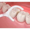 Set 50C tăm chỉ nha khoa siêu mịn không xoay và chăm sóc răng miệng giá 8.500đ 3