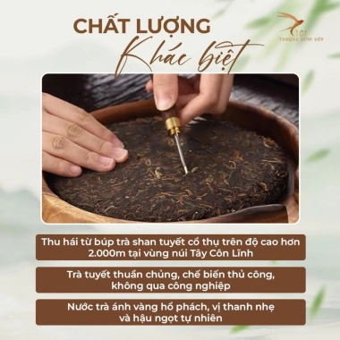 Set Bánh Trà Phổ Nhĩ Tây Thượng Hạng – Hộp Bánh Trà, Búp Trà Shan Tuyết, Giá chỉ 1.250.000 VND