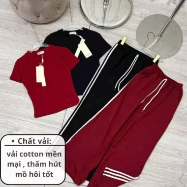 Set đồ nữ mặc nhà áo thun basic mix quần ông suông viền sọc xinh - SaYa Shop HCOM25.171 129k