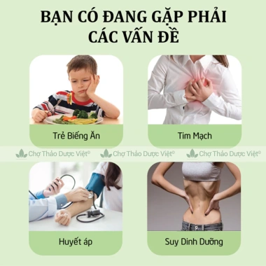 Set Gà Hầm 7 Loại Nấm Quý - Giảm Giá Đặc Biệt, Chỉ 65.000đ, Thơm Ngon, Dinh Dưỡng