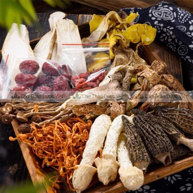 Set Gà Hầm 7 Loại Nấm Quý - Giảm Giá Đặc Biệt, Chỉ 65.000đ, Thơm Ngon, Dinh Dưỡng