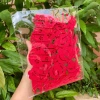 Set Hình Vải Dạ Đỏ Treo Deco Trang Trí Tết Trung Thu Giá Ưu Đãi 40.000 4