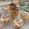 Set làm bánh Chocochip Cookie Mix 3 vị 60 chiếc - Socola Chip EcoFood chỉ 47.5k 8